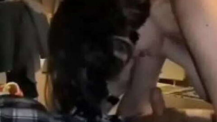 Husband Watches Buddies Bang His Spouse in Full-Length Video