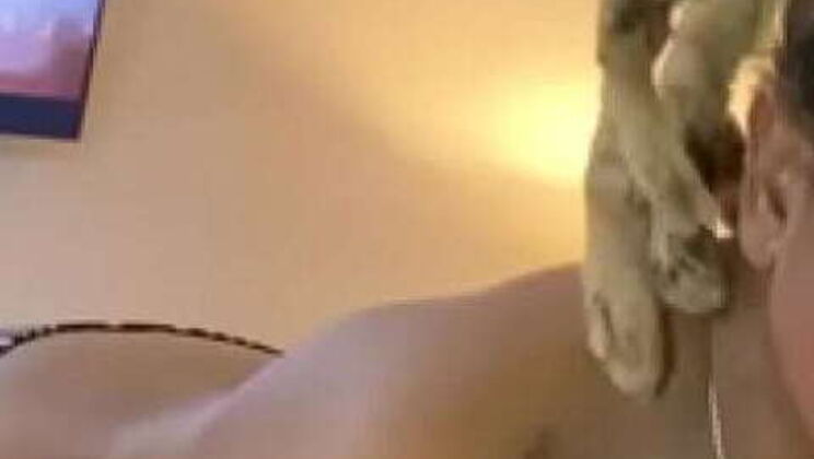 Visited Miami for the Dreadlocked Beauty, Princess Hayze