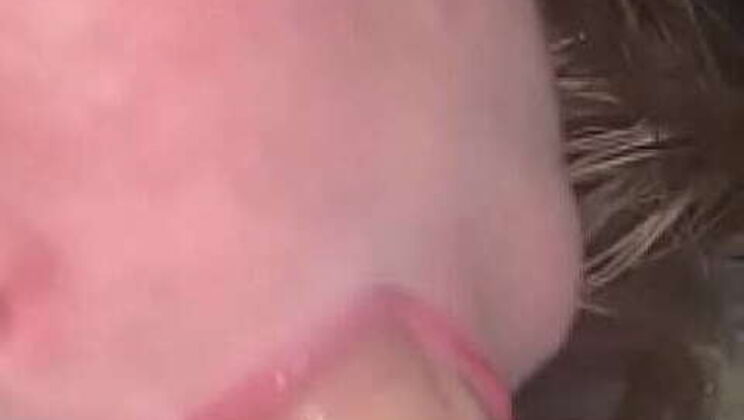  BBW Jjay86 Caught Unaware, She's treated to a Surprise Blowjob by Shortstopp 