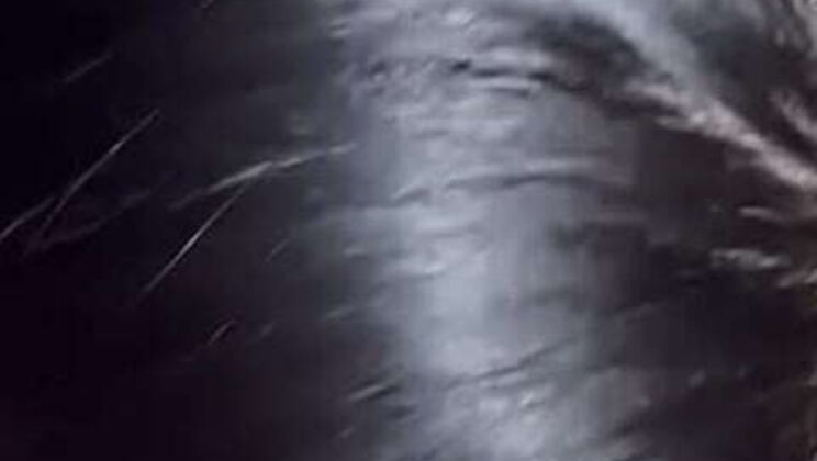 Expert Blowjob from a Latina BBW