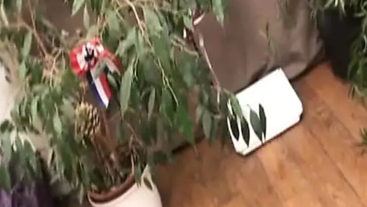 Sexy French MILF Love Crystale Gets Hardcore Anal Fuck by Young Stud