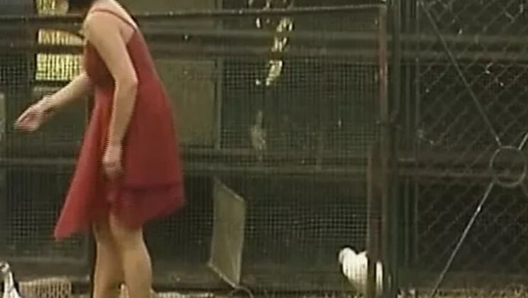 Hot German babes in wild foursome - anal, blowjob & hardcore action