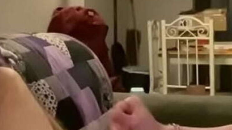 Sexy Babe Teases Huge Cock with Intense Handjob & Cum Countdown