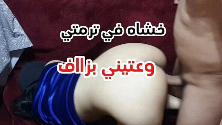 Amateur Moroccan Couple Homemade Anal Sex - Sahar Good Doggy Style & Cumshot