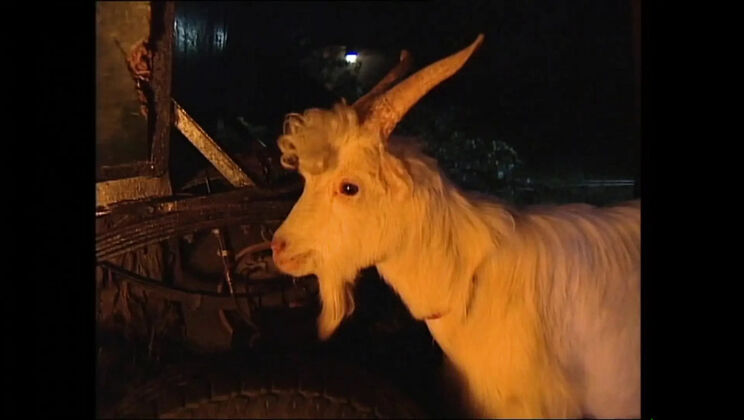 Naked Woman On Fire Vol.4 Full Movie - Claudia Jamsson, Karli Sweet, Backey Jakic Anal, Big Tits, Blowjob, HD Vintage