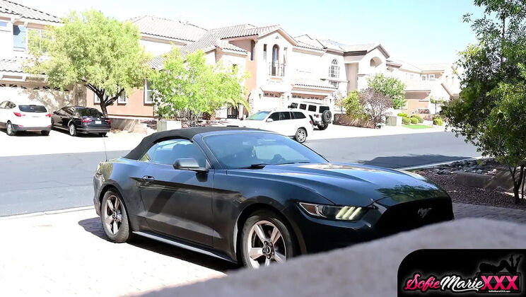 Sofie Marie Cheating Wife Teased and Takes BBC from Solo The Bull