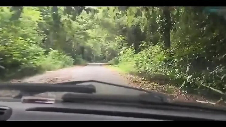 Bruxo Fire Bangs Latina in Forest Milk Bath - Outdoor Doggy Style & Blowjob