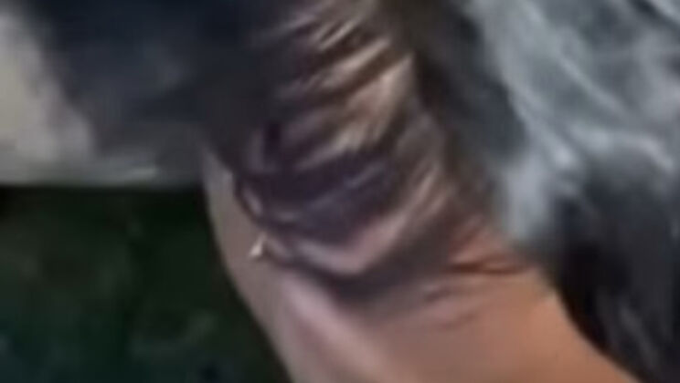 POV Blowjob with Keisha Minaj - Public Deep Throat on a Huge 11 Inch BBC