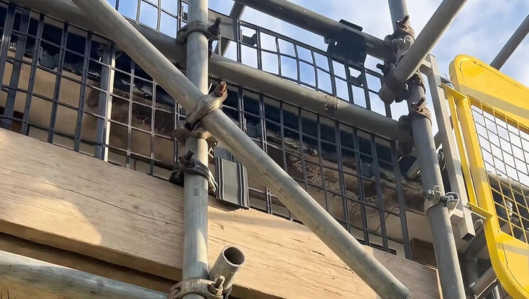 Nervous British Wife Home Alone Opens Window For Builder - Big Natural Saggy Tits & Solo Dildo Play