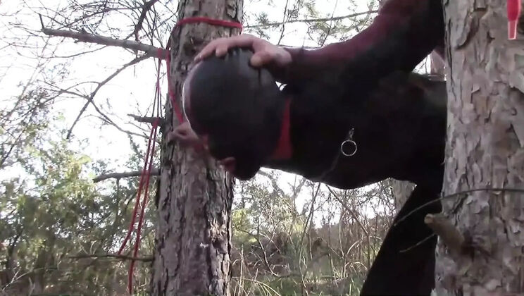 MILF Doggy Style Compilation - Outdoor Rough Sex with Orgasms & Stockings